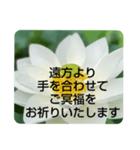 お悔やみの言葉②訃報.法事.法要シンプル蓮（個別スタンプ：7）