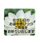 お悔やみの言葉②訃報.法事.法要シンプル蓮（個別スタンプ：8）