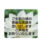 お悔やみの言葉②訃報.法事.法要シンプル蓮（個別スタンプ：12）