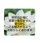 お悔やみの言葉②訃報.法事.法要シンプル蓮（個別スタンプ：14）