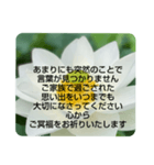 お悔やみの言葉②訃報.法事.法要シンプル蓮（個別スタンプ：15）