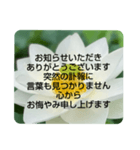 お悔やみの言葉②訃報.法事.法要シンプル蓮（個別スタンプ：16）