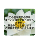 お悔やみの言葉②訃報.法事.法要シンプル蓮（個別スタンプ：18）