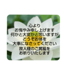 お悔やみの言葉②訃報.法事.法要シンプル蓮（個別スタンプ：20）