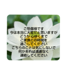 お悔やみの言葉②訃報.法事.法要シンプル蓮（個別スタンプ：21）