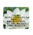 お悔やみの言葉②訃報.法事.法要シンプル蓮（個別スタンプ：24）