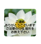 お悔やみの言葉②訃報.法事.法要シンプル蓮（個別スタンプ：25）