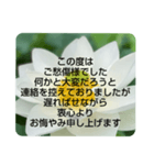 お悔やみの言葉②訃報.法事.法要シンプル蓮（個別スタンプ：27）