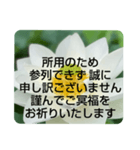 お悔やみの言葉②訃報.法事.法要シンプル蓮（個別スタンプ：28）