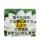 お悔やみの言葉②訃報.法事.法要シンプル蓮（個別スタンプ：31）