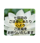 お悔やみの言葉②訃報.法事.法要シンプル蓮（個別スタンプ：34）