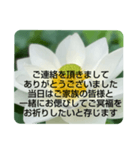 お悔やみの言葉②訃報.法事.法要シンプル蓮（個別スタンプ：38）