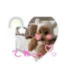 ピノさんwith5（個別スタンプ：2）