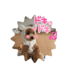 ピノさんwith5（個別スタンプ：3）