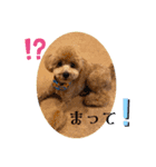 ピノさんwith5（個別スタンプ：4）