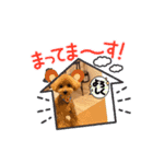 ピノさんwith5（個別スタンプ：5）