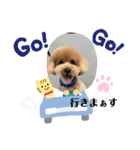 ピノさんwith5（個別スタンプ：6）