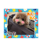 ピノさんwith5（個別スタンプ：7）