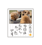 ピノさんwith5（個別スタンプ：8）