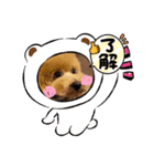 ピノさんwith6（個別スタンプ：3）