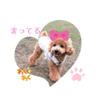 ピノさんwith6（個別スタンプ：4）