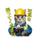 働き者の猫ちゃんたち（個別スタンプ：12）