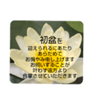 お悔やみの言葉③訃報.法事.法要シンプル蓮（個別スタンプ：1）