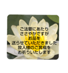 お悔やみの言葉③訃報.法事.法要シンプル蓮（個別スタンプ：8）