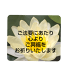 お悔やみの言葉③訃報.法事.法要シンプル蓮（個別スタンプ：10）