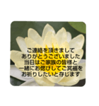 お悔やみの言葉③訃報.法事.法要シンプル蓮（個別スタンプ：11）