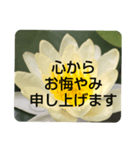 お悔やみの言葉③訃報.法事.法要シンプル蓮（個別スタンプ：13）