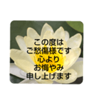 お悔やみの言葉③訃報.法事.法要シンプル蓮（個別スタンプ：14）