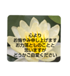 お悔やみの言葉③訃報.法事.法要シンプル蓮（個別スタンプ：17）