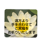 お悔やみの言葉③訃報.法事.法要シンプル蓮（個別スタンプ：18）