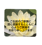 お悔やみの言葉③訃報.法事.法要シンプル蓮（個別スタンプ：19）