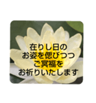 お悔やみの言葉③訃報.法事.法要シンプル蓮（個別スタンプ：20）