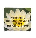 お悔やみの言葉③訃報.法事.法要シンプル蓮（個別スタンプ：21）