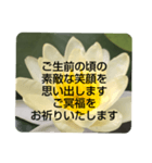 お悔やみの言葉③訃報.法事.法要シンプル蓮（個別スタンプ：22）