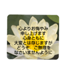 お悔やみの言葉③訃報.法事.法要シンプル蓮（個別スタンプ：24）