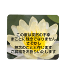 お悔やみの言葉③訃報.法事.法要シンプル蓮（個別スタンプ：28）