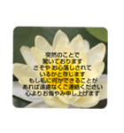 お悔やみの言葉③訃報.法事.法要シンプル蓮（個別スタンプ：32）
