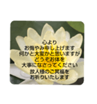 お悔やみの言葉③訃報.法事.法要シンプル蓮（個別スタンプ：34）