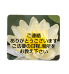 お悔やみの言葉③訃報.法事.法要シンプル蓮（個別スタンプ：36）