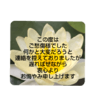 お悔やみの言葉③訃報.法事.法要シンプル蓮（個別スタンプ：38）