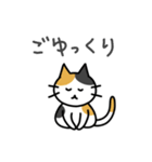 大阪ねこ 小リアクション（個別スタンプ：23）