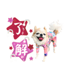 チワブラザーズ（個別スタンプ：9）