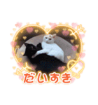 猫だにゃ猫だにゃ（個別スタンプ：1）