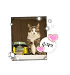 こむこむスタンプニャン（個別スタンプ：4）
