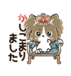 うちの子のスタンプ♡挨拶♡愛犬パピヨン（個別スタンプ：3）