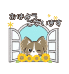 うちの子のスタンプ♡挨拶♡愛犬パピヨン（個別スタンプ：5）